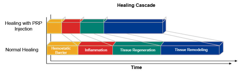 prp graph